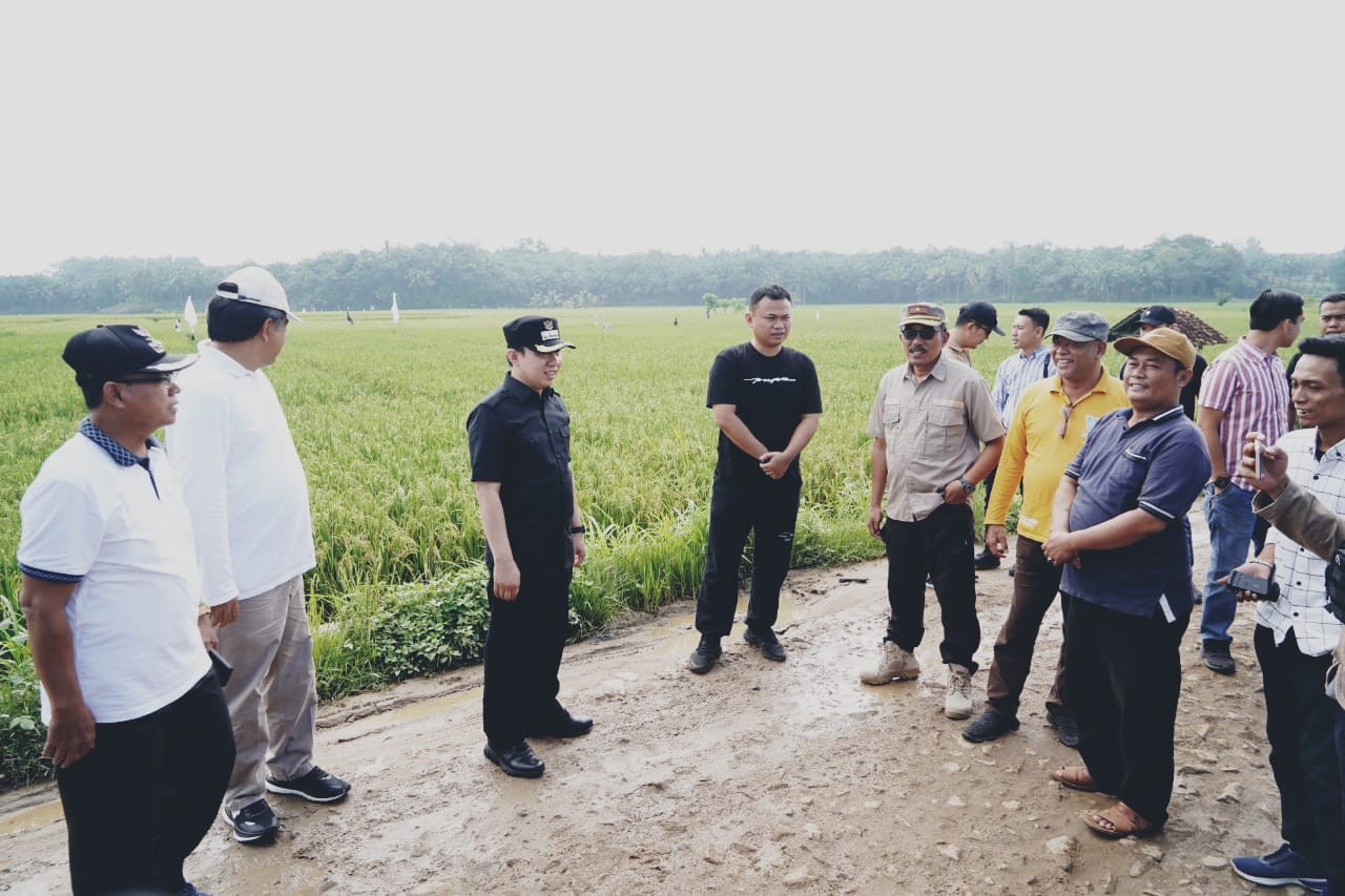 Pj.Bupati Pringsewu Tinjau Jalan Rusak di Kecamatan Banyumas