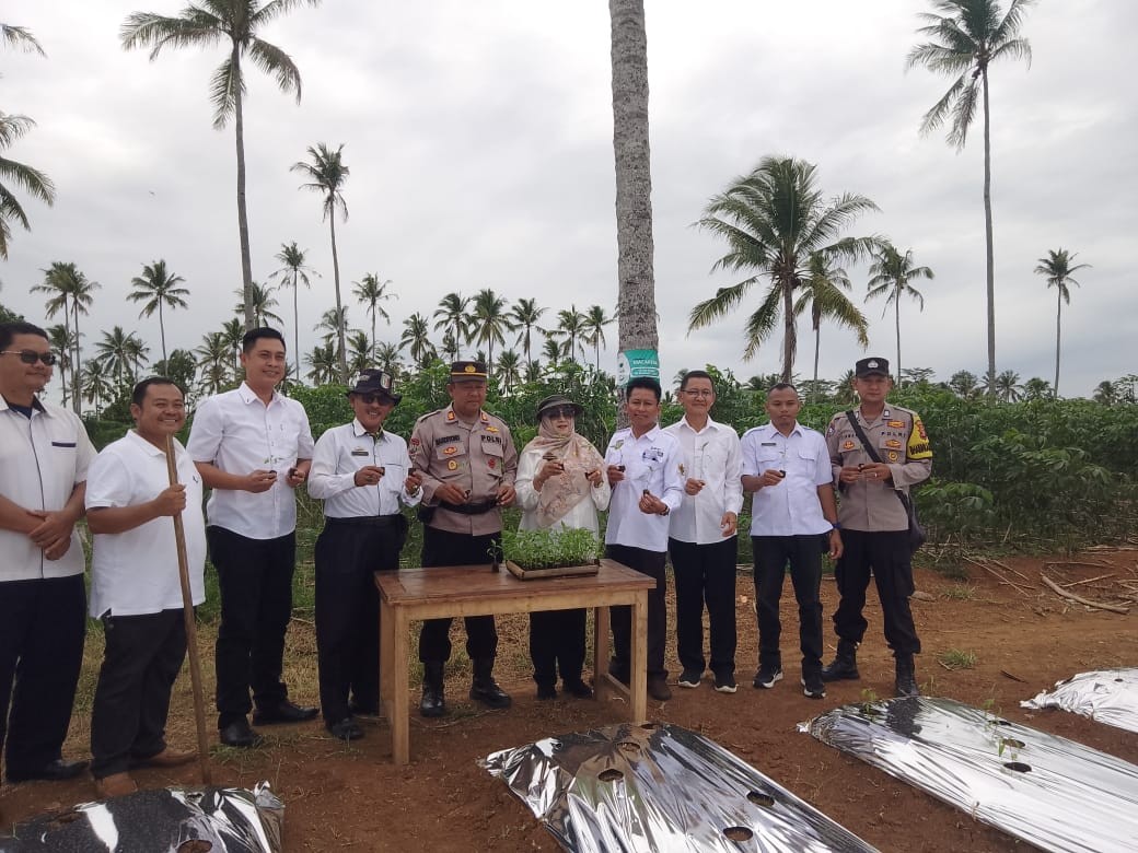 Polres Pringsewu dan Dinas Pertanian Dorong Ketahanan Pangan Lewat Bantuan Bibit Cabai